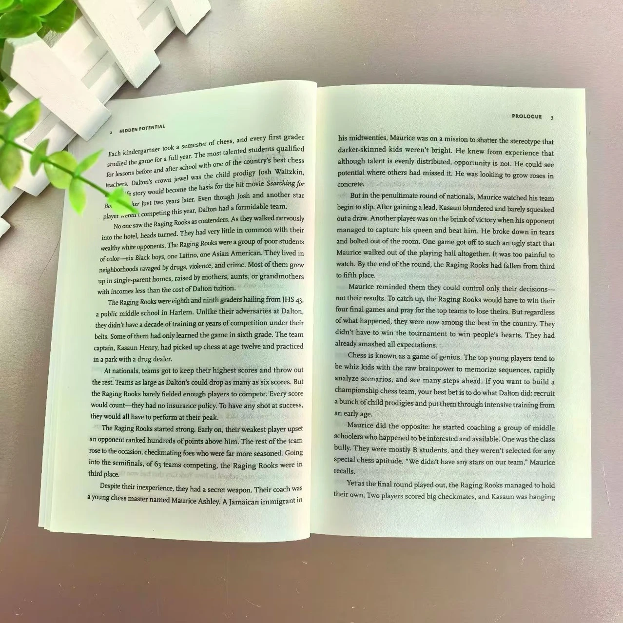 Hidden Potential The Science of Achieving Greater Things Paperback English book