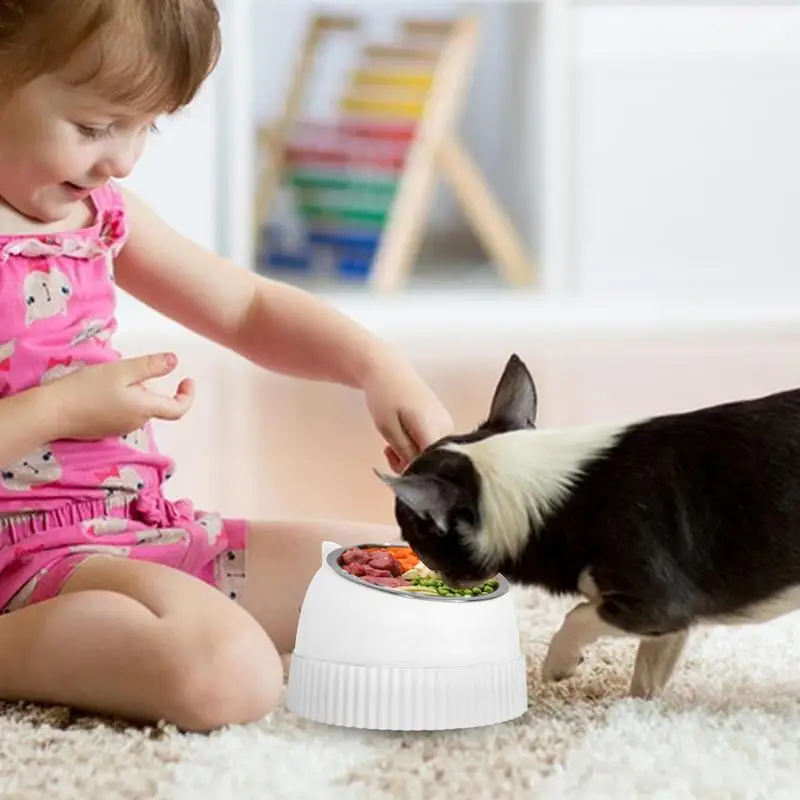 

Dog Bowl For Small Dogs Dog Feeding Bowl Non-Slip Base Dog Water Bowls Food Feeder Puppy Dishes Cat Feeder Anti-Spill Pet