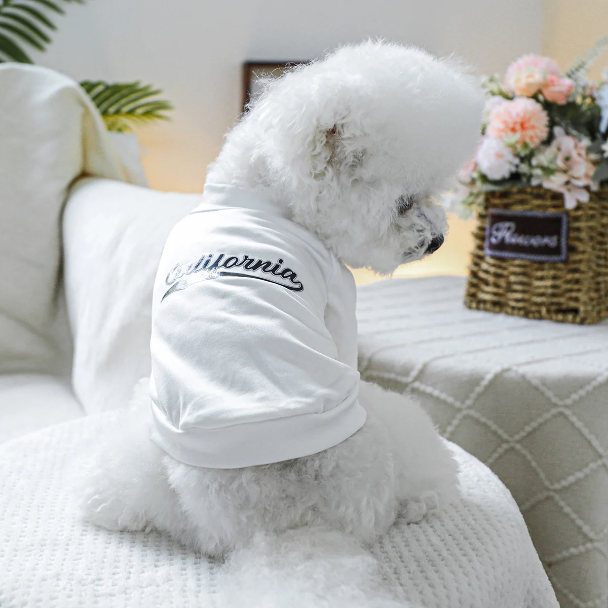 1PC Pet Clothing Dog Cat Pullover Summer Black Flower California White T Suitable for Small and Medium sized Dogs