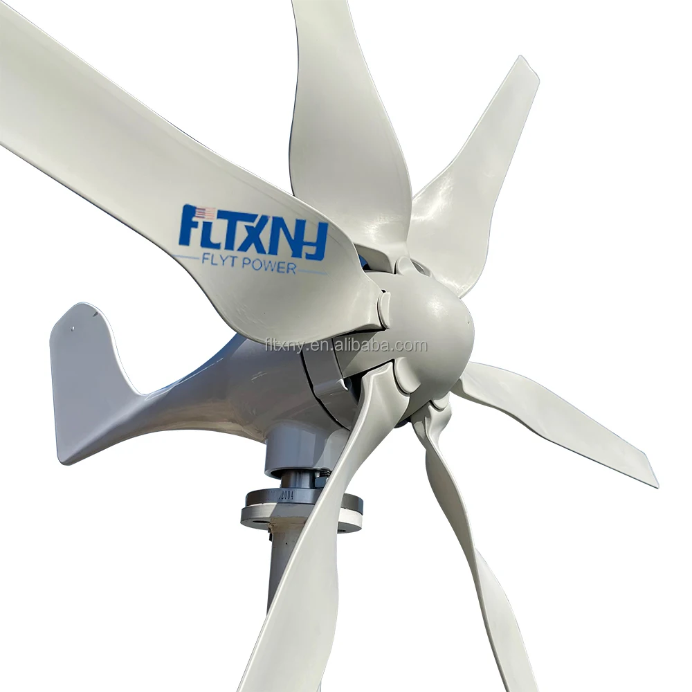 Poland Stock FLYT 1000W Permanent Magnet Generator Solar Off Grid 12v 24v 48v Wind Generator System Windkraftanlage