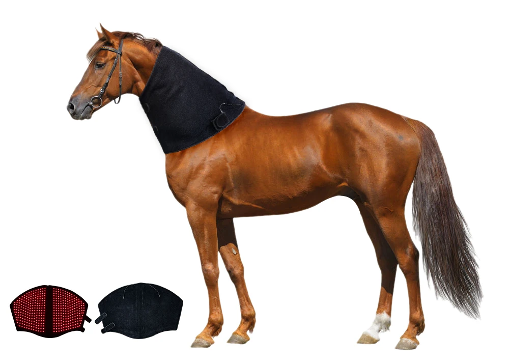 Equestrian Red Light Therapy Veterinary Equipment For Horse Neck Pain Relief And Recovery
