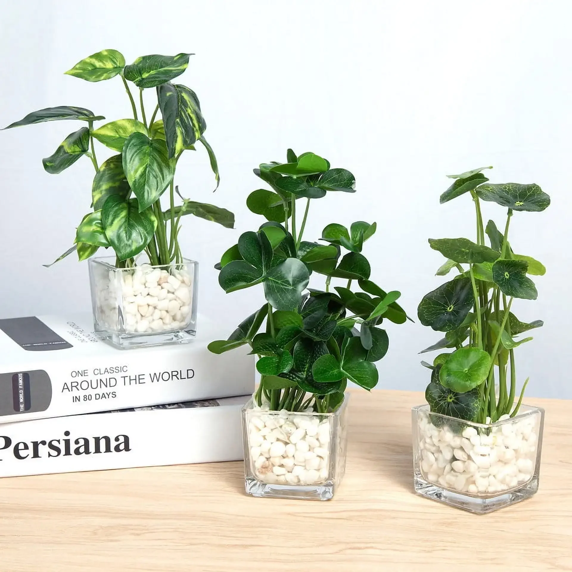 Set of 3 artificial plants in clear glass pots with white decorative stones. 2.75