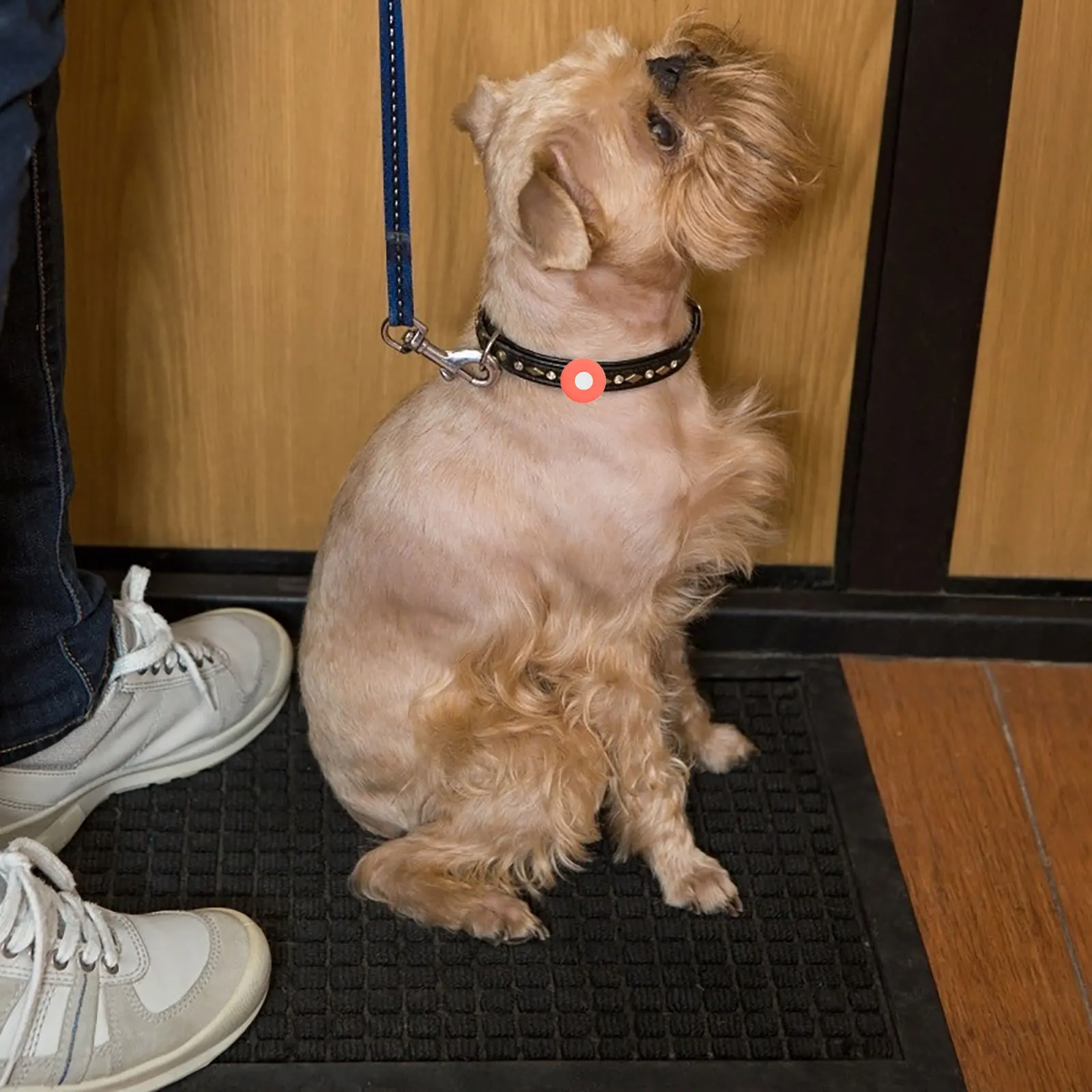 

2Pcs Protective Cover Durable Silicone Case Scratch Resistant Easy to Use Reliable Anti-Lost Protector