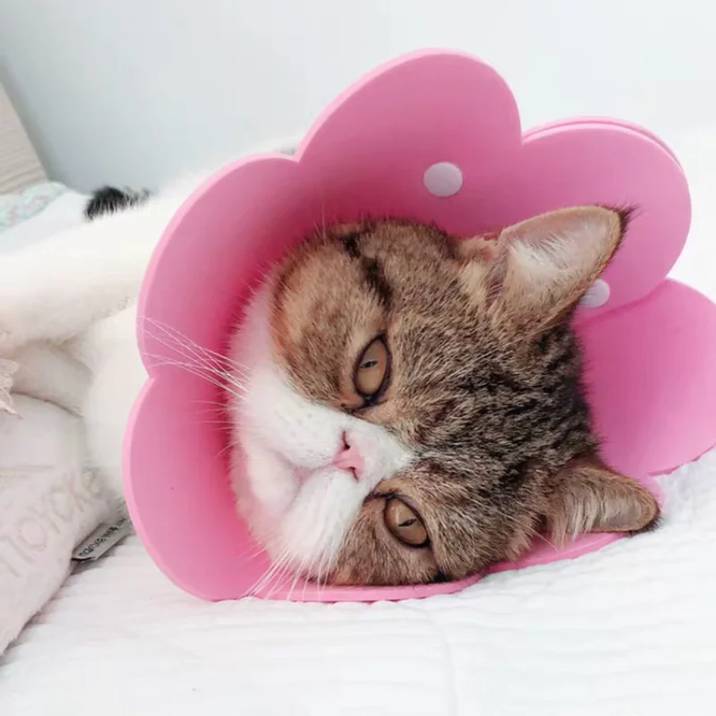 Cat Elizabeth Ring Felt Sunflower Collar Pet Medical Postoperative Anti licking Head Cover sterilization Pet Supplies