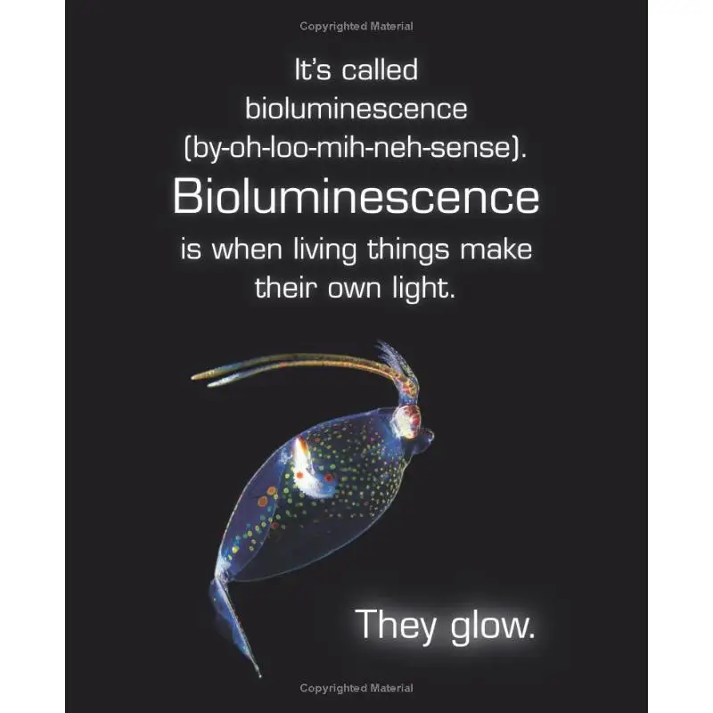 Glow Animals With Their Own NightLights Beck W H Harper Collins US 9780544416666 Book