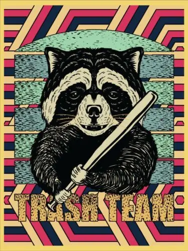 1p,Trash Team Racoon Vintage Retro Metal Sign