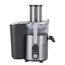 Cold Press Juicer Wide Mouth Juicer Extractor, for Vegetable and Fruit with 5-Speed Setting, High Juice Yield stainless steel