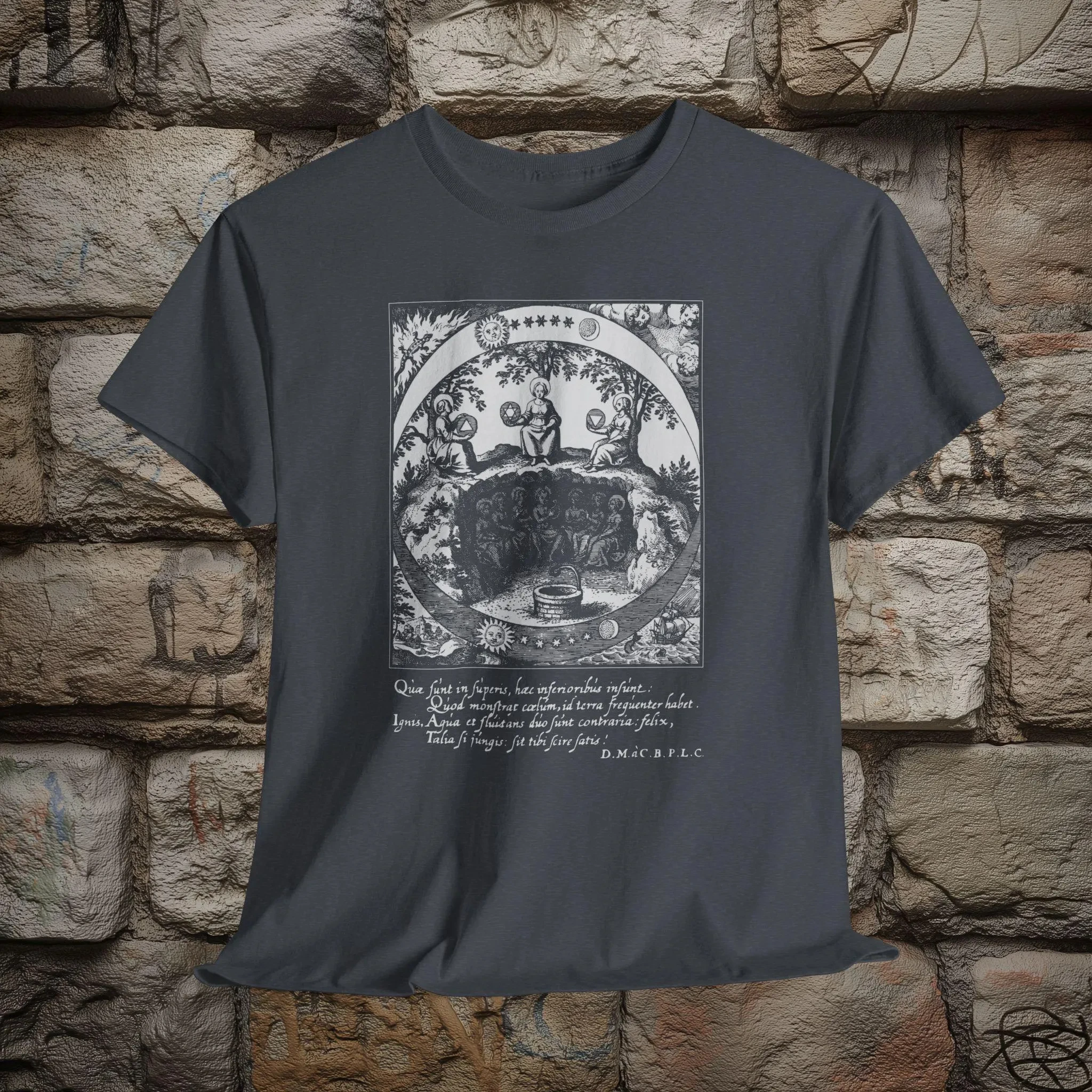 Lucas Jennis Musæum Hermeticum Reformatum Et Amplificatum 1678 Seven Hermetic Principles Unisex T-shirt Graphic T Shirts Retro