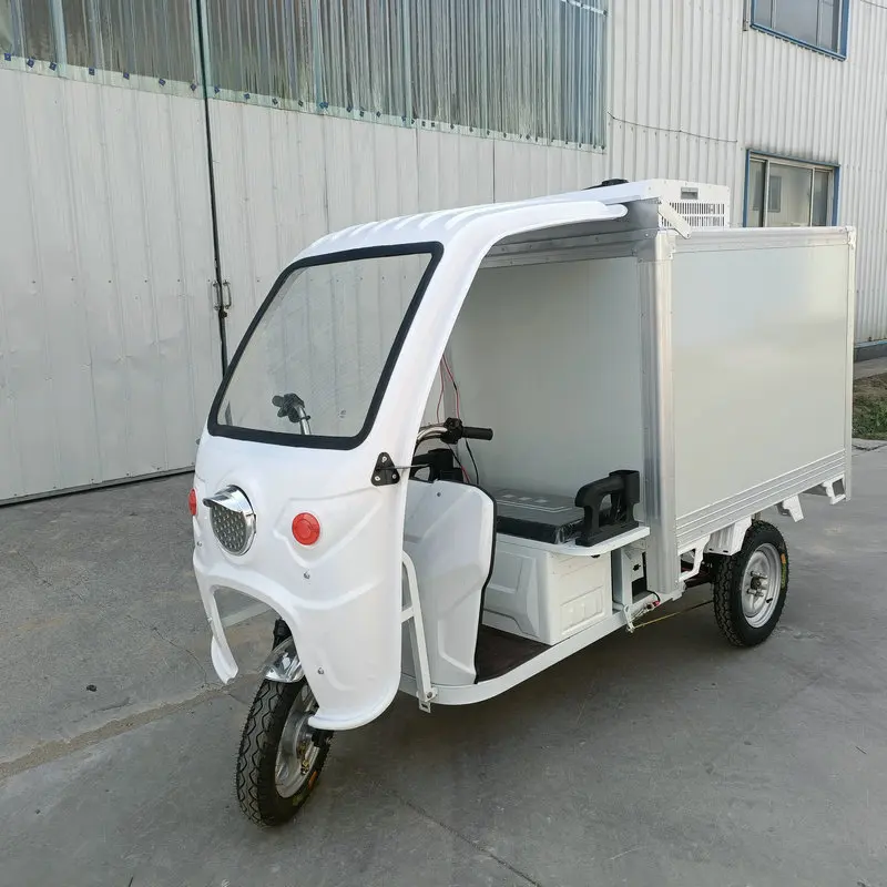 Professional Customized 2 Seat Refrigeration Cargo Tricycle for Food