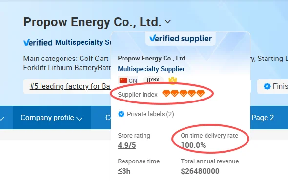 Factory OEM 36V 48V 51.2V 60V 72V 100Ah 105Ah 150Ah 200Ah Narrow Lifepo4 Lithium Battery Pack For Golf Cart And Utility Vehicle view 2