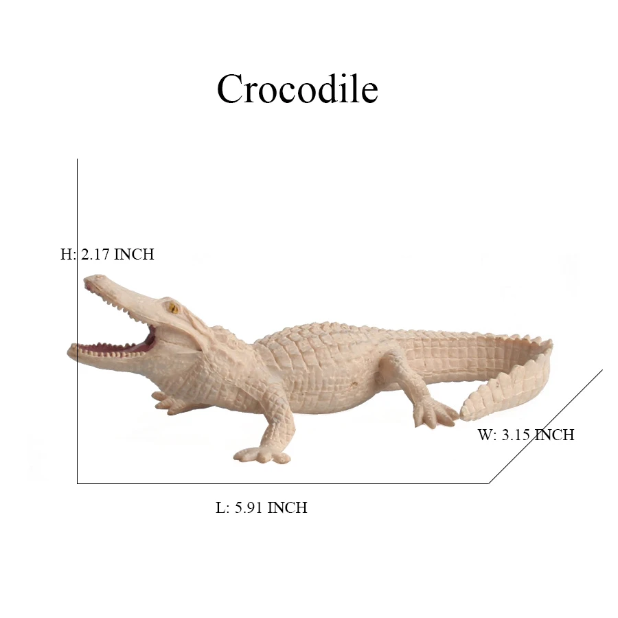 Giocattolo di coccodrillo Figure Giocattoli Modello di coccodrillo Ciclo di vita Playset Figurine di animali Action Figure Rettile Animali Regali per bambini Giochi