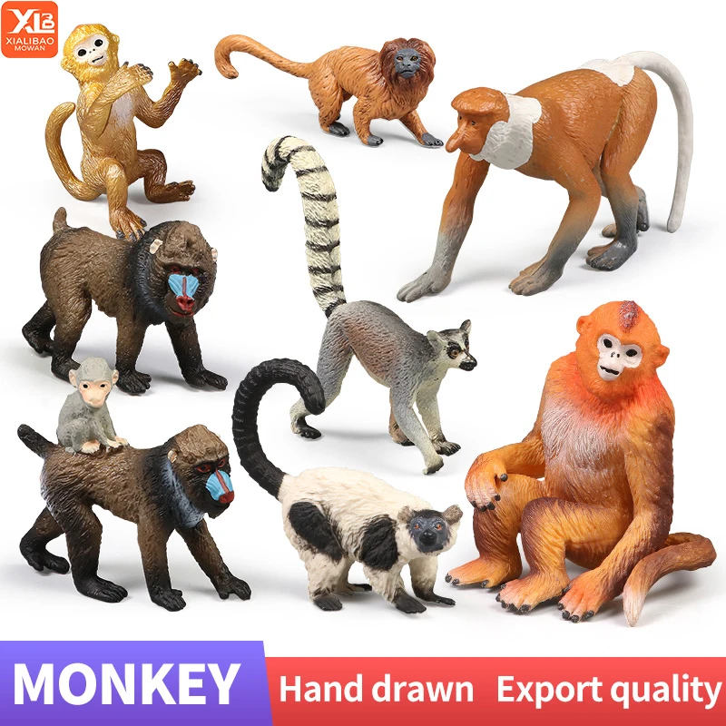 مجموعة شخصيات محاكاة القرد الذهبي شان كوي للحيوانات البرية - لعبة نموذجية صلبة لتزيين هدية للأطفال