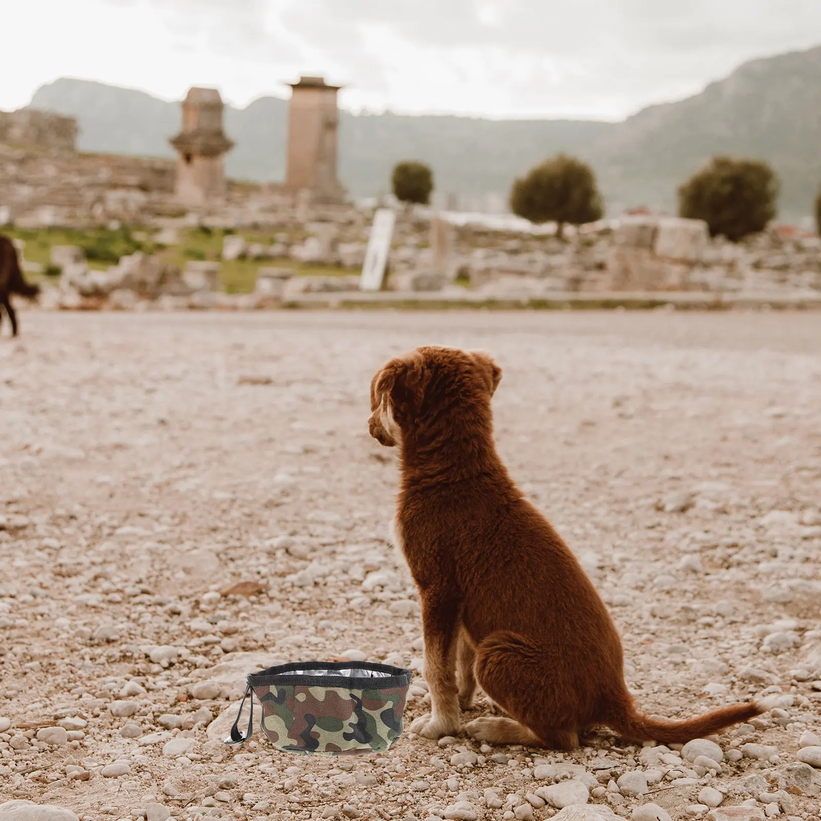 

Portable Foldable Dog Bowl Waterproof Oxford Cloth Pet Feeding Bowl Travel Small Dog Puppy Cat Water Dish