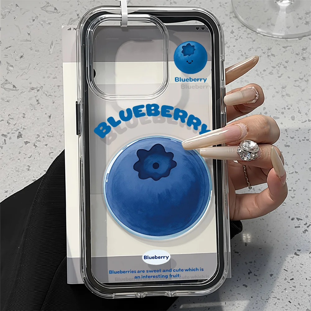 2in1 Ins Blueberry Case For iPhone 17 Pro Max Clear Cover iPhone 16 15 12 13 14 Pro Max Air 11 iPhone17 17Pro Transparent Funda