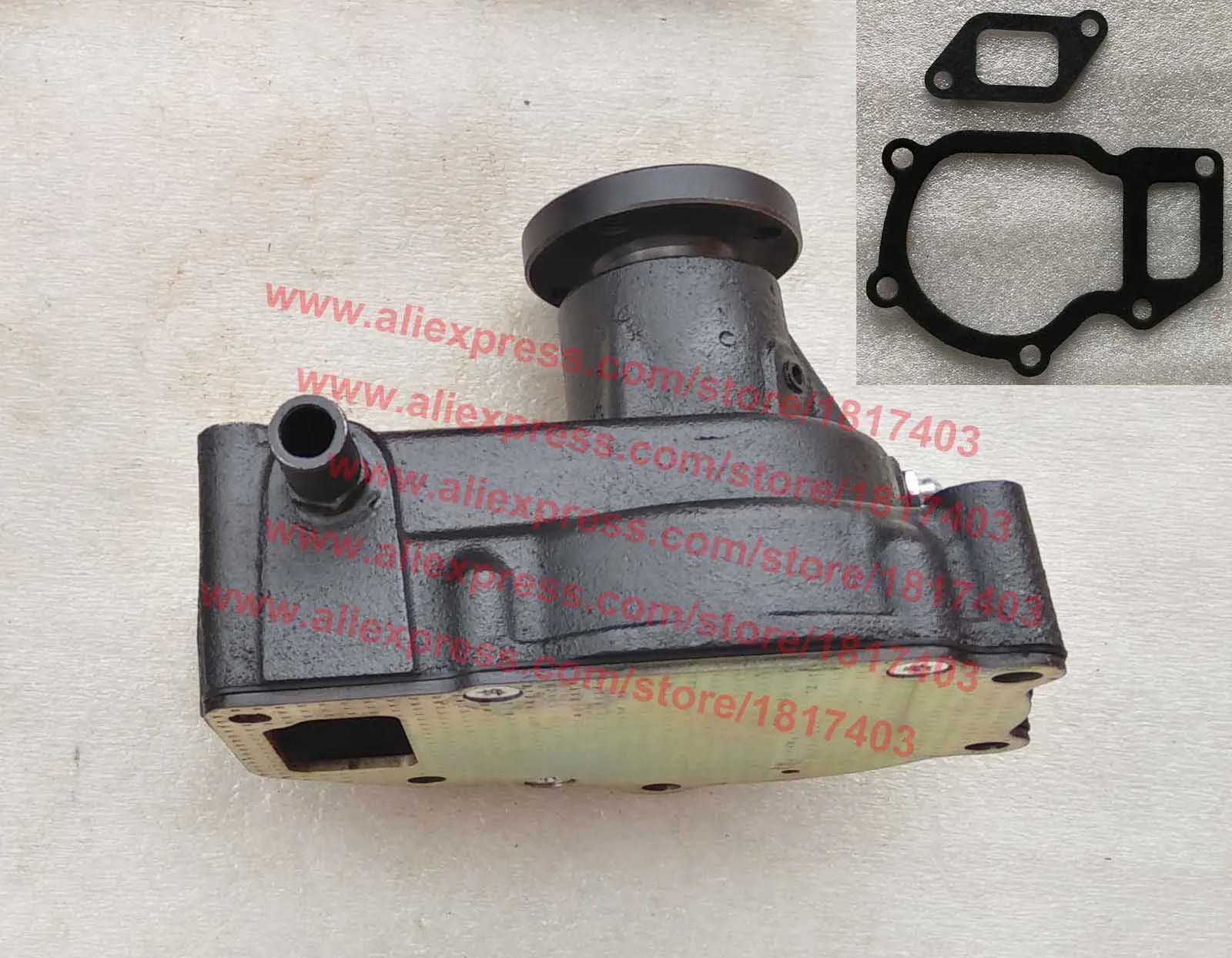 Fujian Lijia 100TY-42000-1 Водяной насос, детали дизельного двигателя Fujian Lijia SL3105BT / SL3105ABT