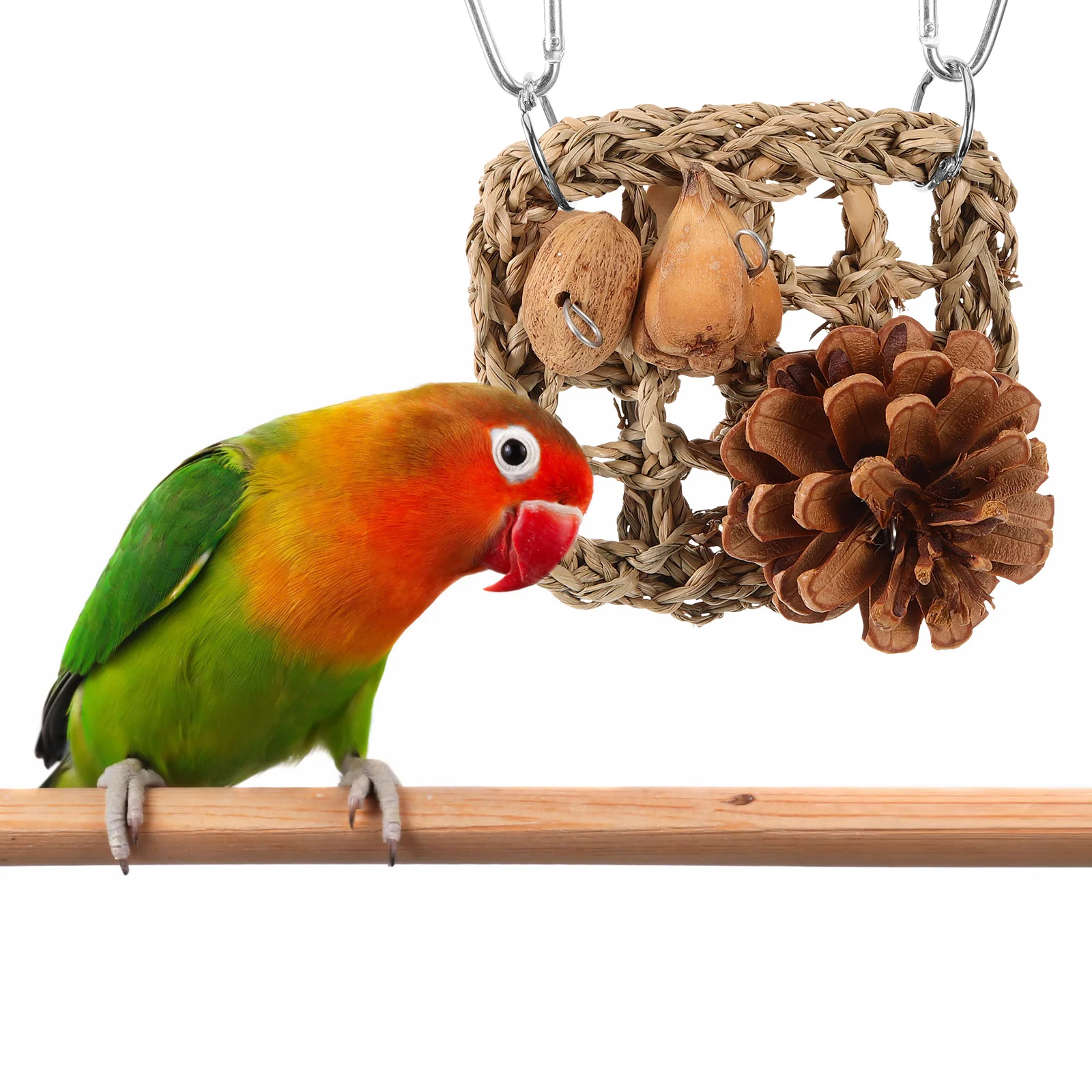 

Parrot Toy Parakeet Net Parrots Hammock Climbing Cockatiel Ladder Pine Cones Guinea Pig Stand Hanging Bird Netting