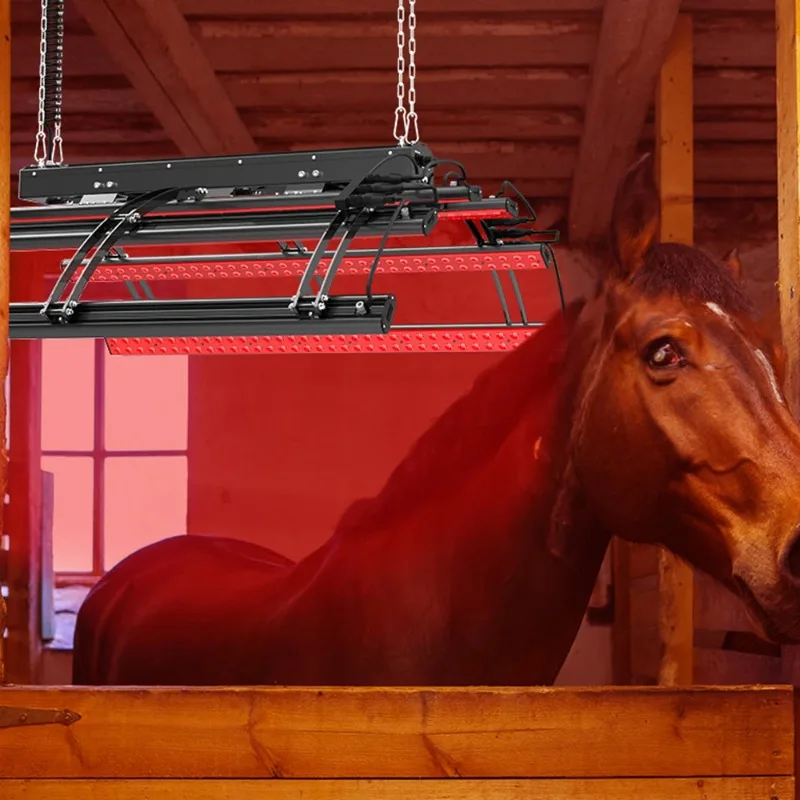 Stable Horse Full Body Therapy Solarium Pony Light Therapy Red Infrared Horse Light Horse Solarium