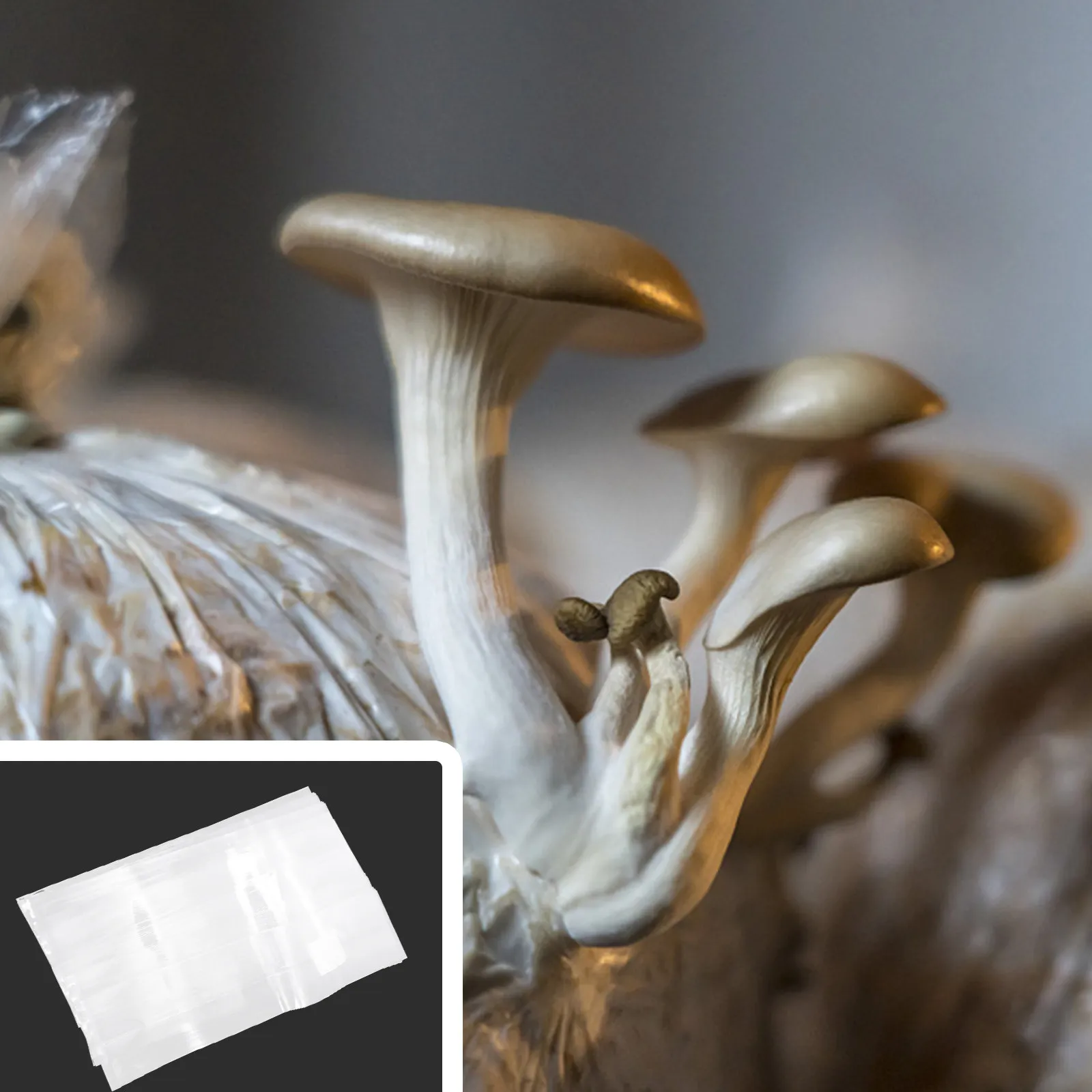 50Pcs Mushroom Cultivation Bags Breathable Full Oxygen Growing Bags Transparent for Shiitake Spawn Cultivation