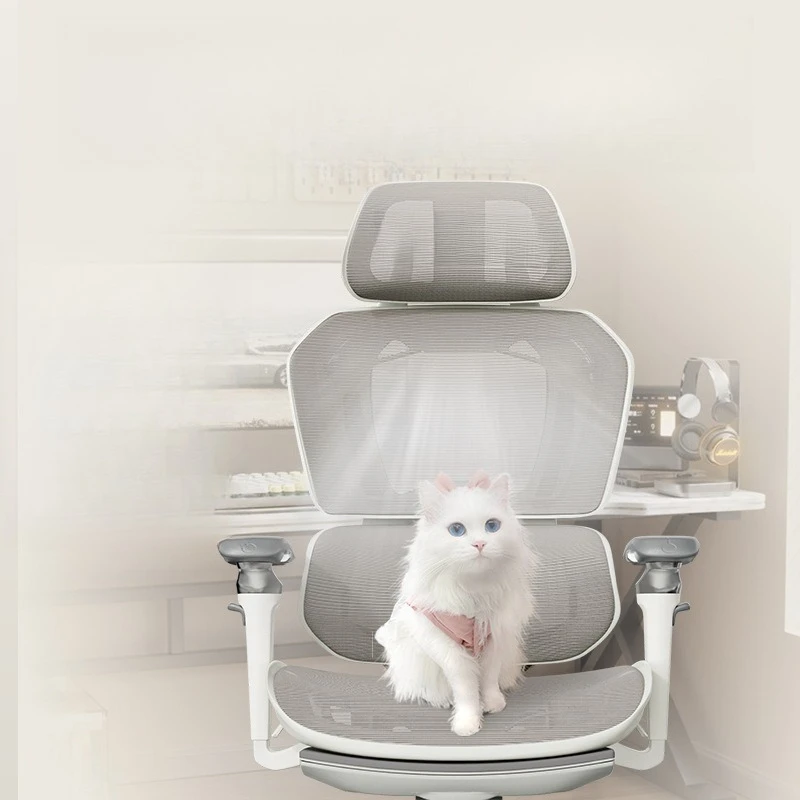 

BUFF Ergonomic Chair Computer Sedentary Comfort Gaming Office