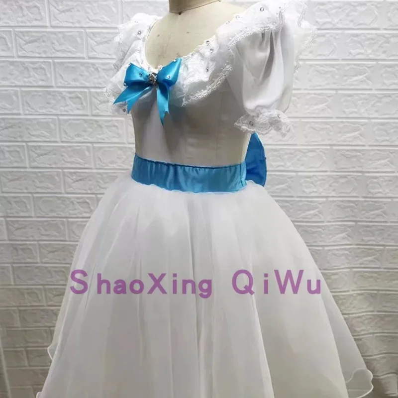 Ballet Graduation Ball Female Variations Performance Dress Professional Edition Long Dress Customization