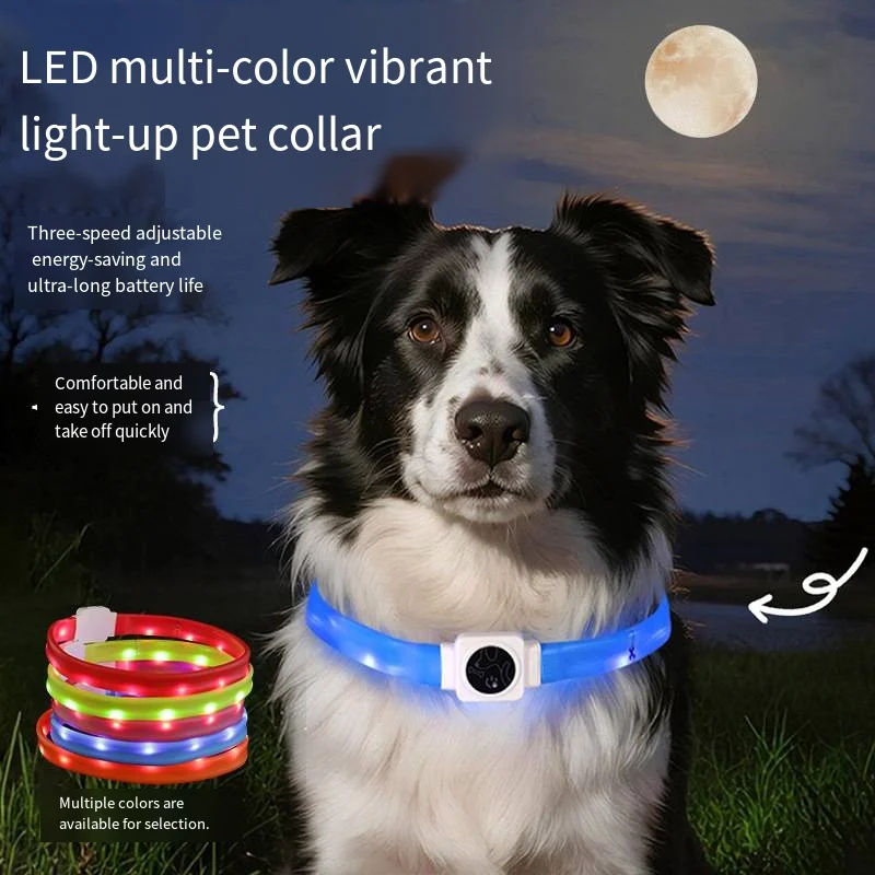 Red LED Pet Collar TYPE-C Charging Silicone Nightlighting Glow Ring USB Flashing Dog Collar Safe Dog Walking Anti-loss Feature