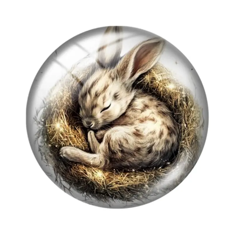 The Sleeping Rabbit12/18/20/25mm glass cabochon  bracelet pendant rings for jewelry demo earrings back Making findings