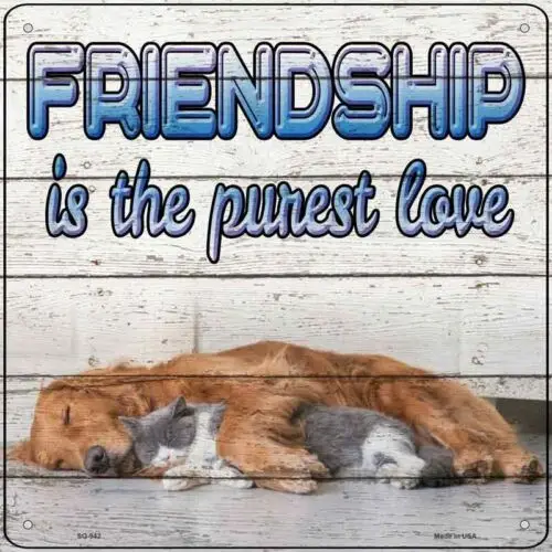 1 pcs,Pet Friendship Novelty Metal Square Sign