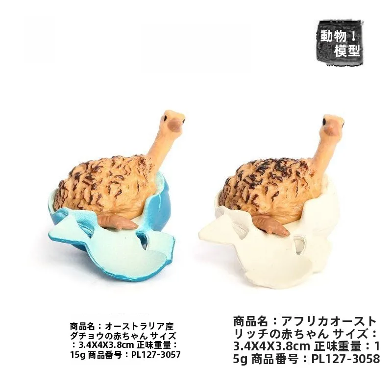 novo-modelo-de-simulacao-de-animais-brinquedo-de-avestruz-emu-para-criancas-bonecos-de-brincadeira-cognitiva-modelos-realistas-de-animais