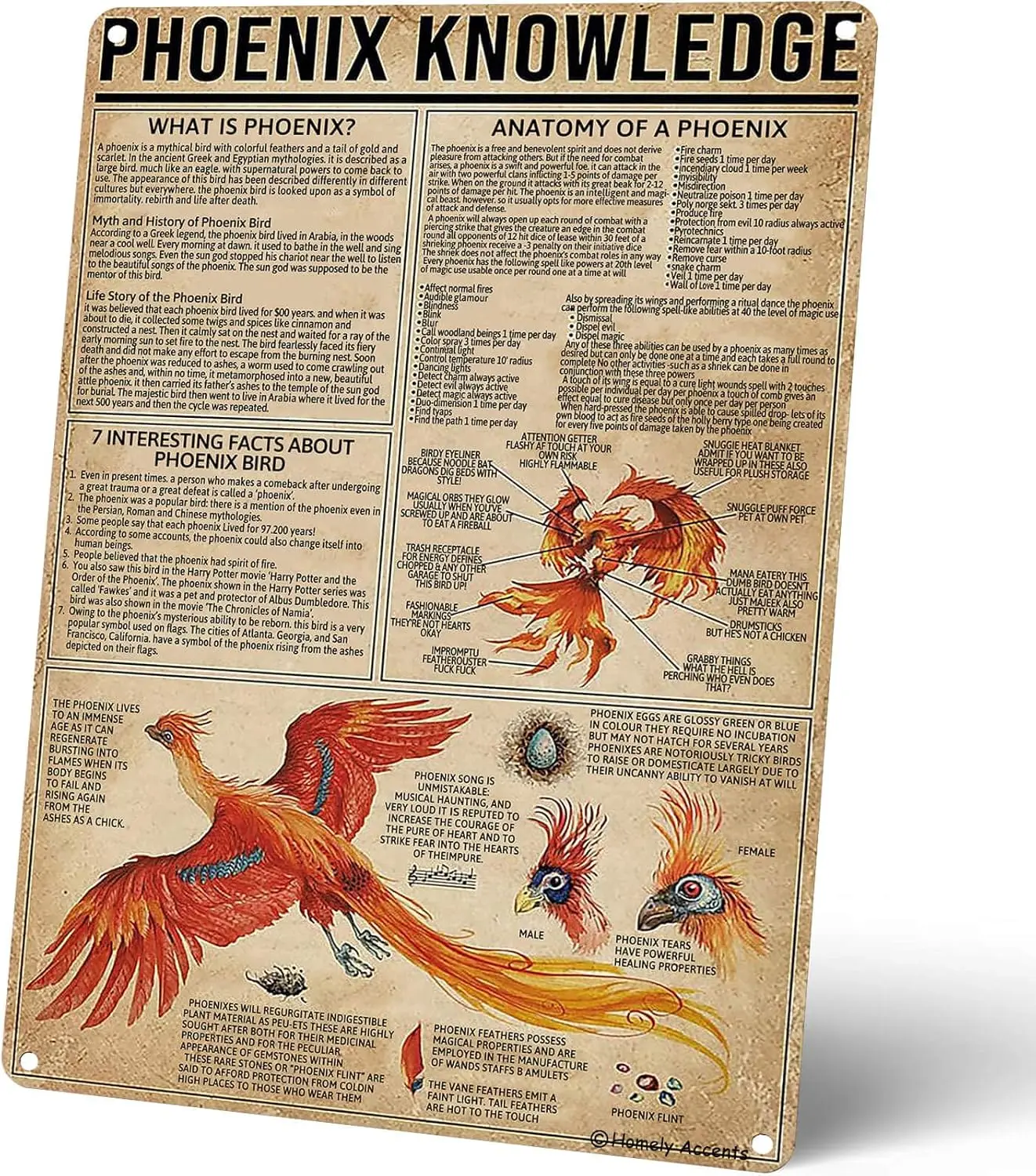 Panneaux métalliques vintage Phoenix Knowledge, affiches murales éducatives en étain pour la maison, le café, le bar, la décoration de bureau, panneau rétro Phoenix L