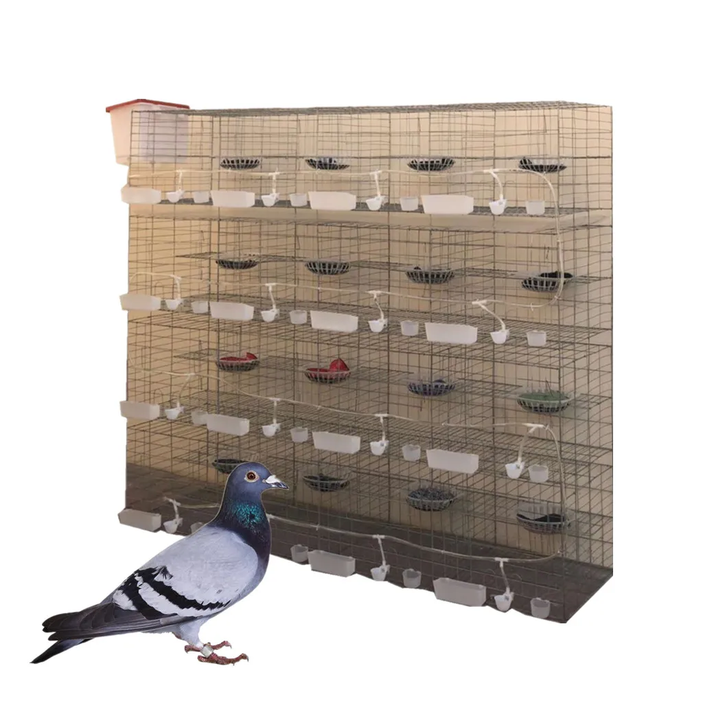 

32 Cells Racing Pigeon Equipment 24 Cells Pigeon Breeding Cage