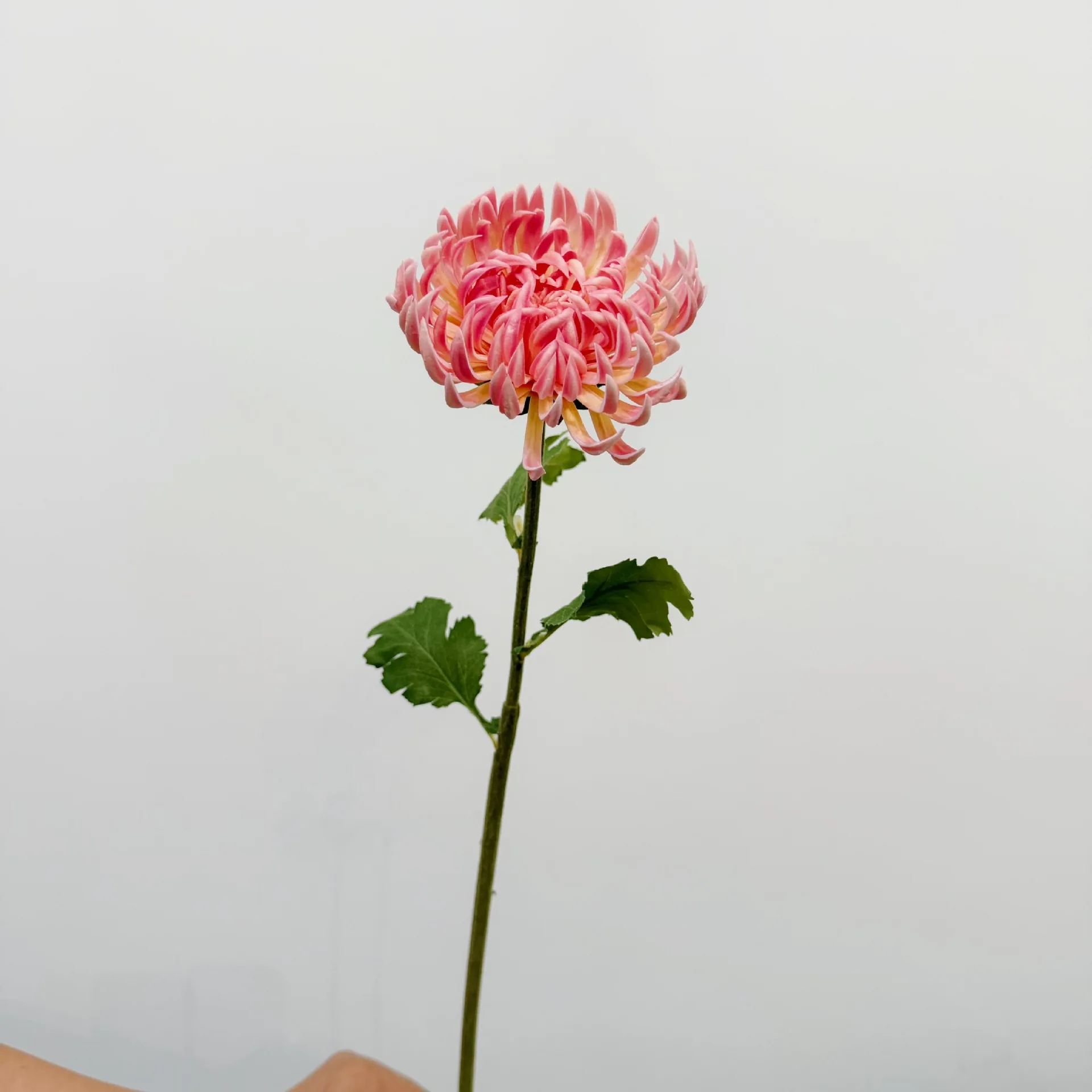 2 Stück Künstliche Blumen PU-Chrysanthemen Heimdekoration Hochzeitsblumenarrangement DIY Brautstrauß Zubehör Partydekoration – Detail 17