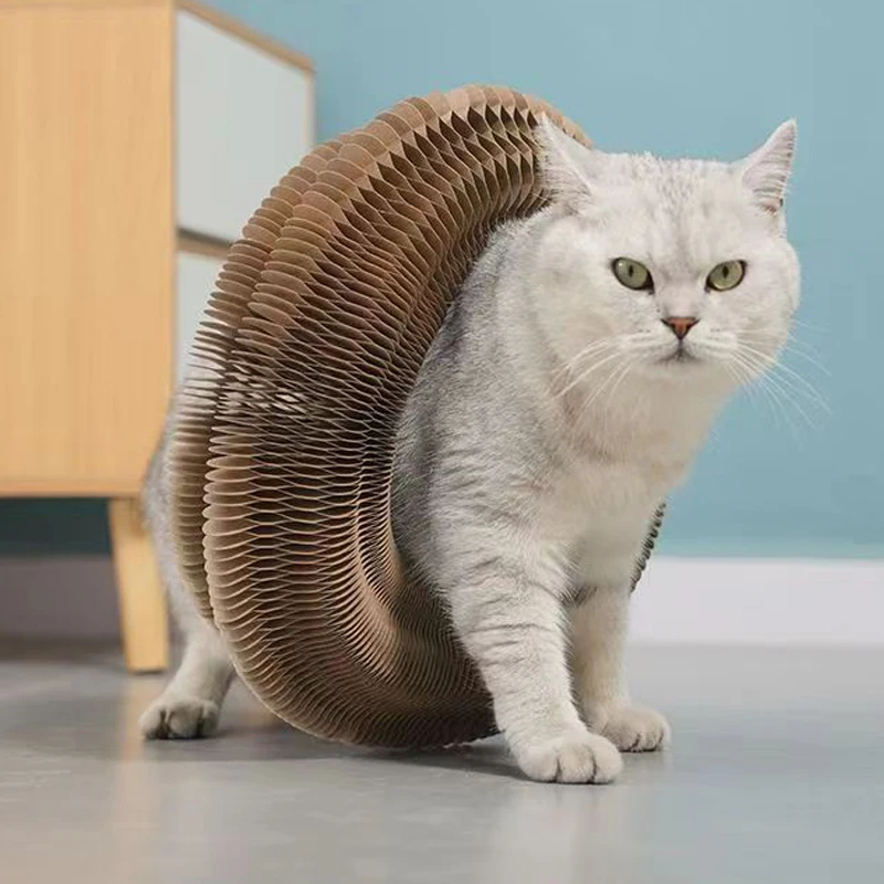 Juguete mágico interactivo para gatos, Bola de juguete para gatitos, material de entrenamiento divertido de múltiples formas, casa de papel