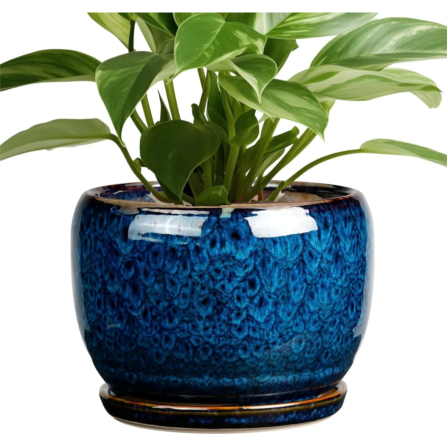 

Ceramic Planter 8 Inch with Drainage Hole and Saucer for Indoor Outdoor Plants, Glazed Blue Flower Pot