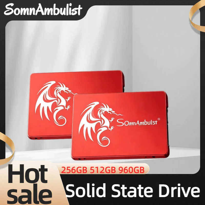

SomnAmbulist SSD 2.5 60GB 128GB 256GB 512GB for Laptop Desktop Solid State Drive Sata3 128GB 240GB 480GB