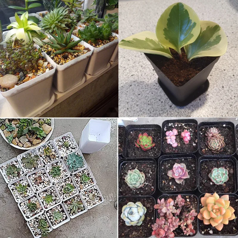 1 Set Planter Pot Trays Mini Square Plastic Flower Pot Home Office Decor Succulent Plants Nursery Pot Green Garden Tools A4