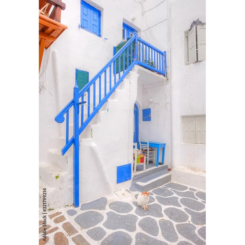 زهرة مشهد جزيرة ساحلية ونباتات خضراء ، منزل قديم ، صبغة بيضاء ، تصوير حفلات الزفاف ، دعامة خلفية ،