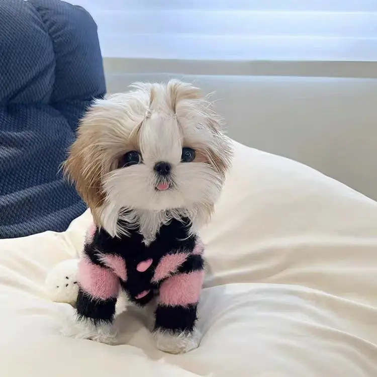 Black Pink Stripe Cardigan Dog Clothes Sweet Sweater Small Dogs Clothing Cat Autumn Fashion Outfits Girl Maltese Pet Products