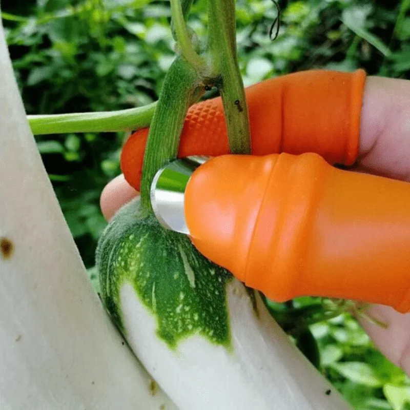 Pinch Vegetable Picker Finger Sleeve Multi-functional Thumb Picker Bean Peeling Garlic Peeling Bean Peeling Vegetable Nail
