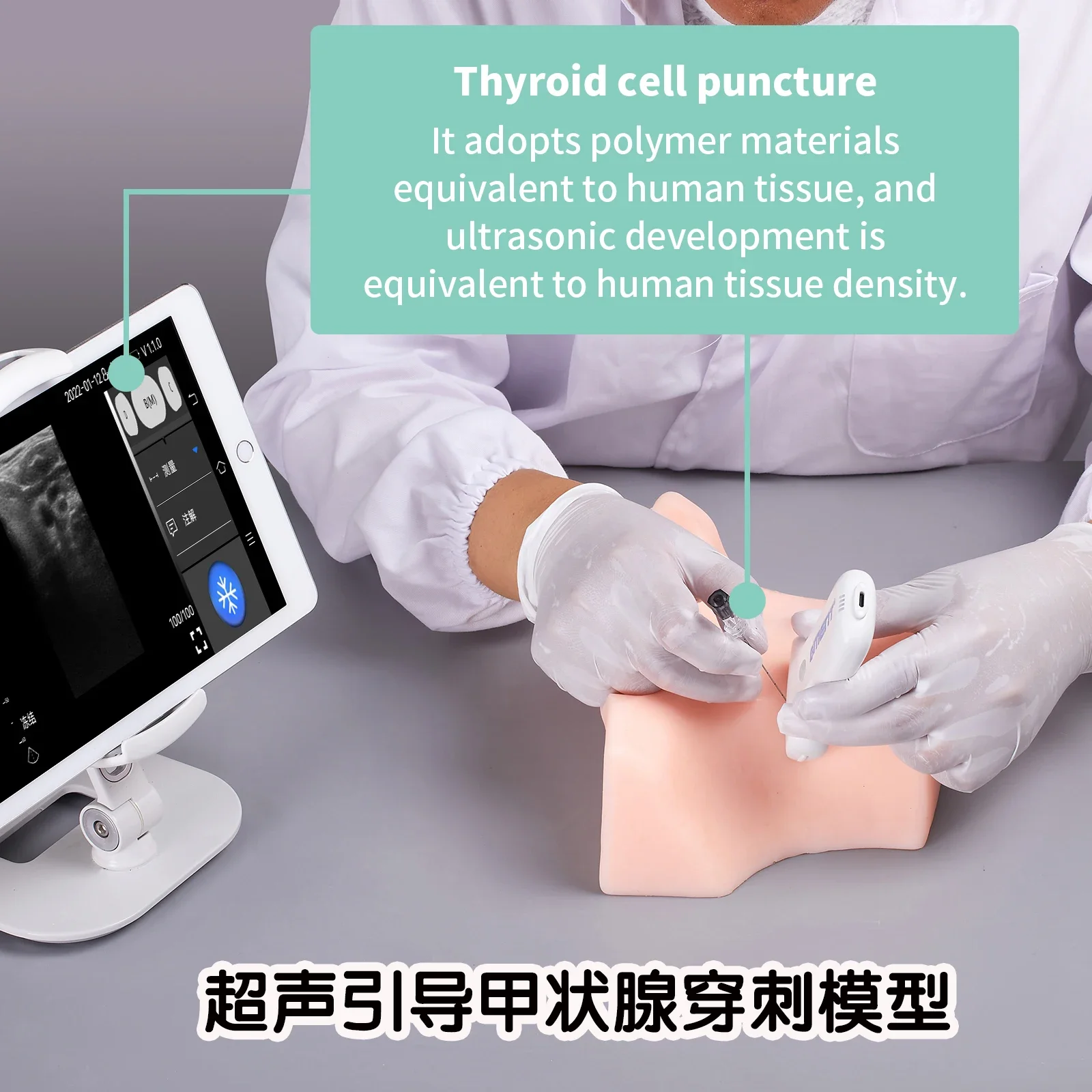 Ultrasound-Guided Thyroid Puncture Model Thin Needle Cell Histology Biopsy Material for Ablation Operation Training