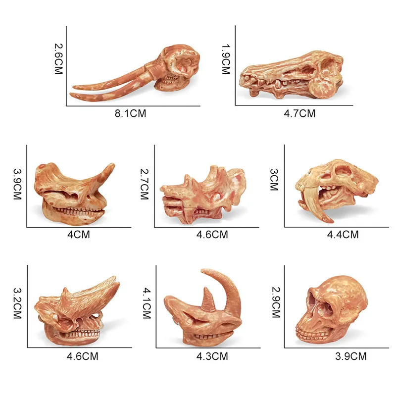 Symulowane wykopaliski szkieletu dinozaura archeologicznego, prehistoryczne kości mammalowe, świecące ozdoby modelowe