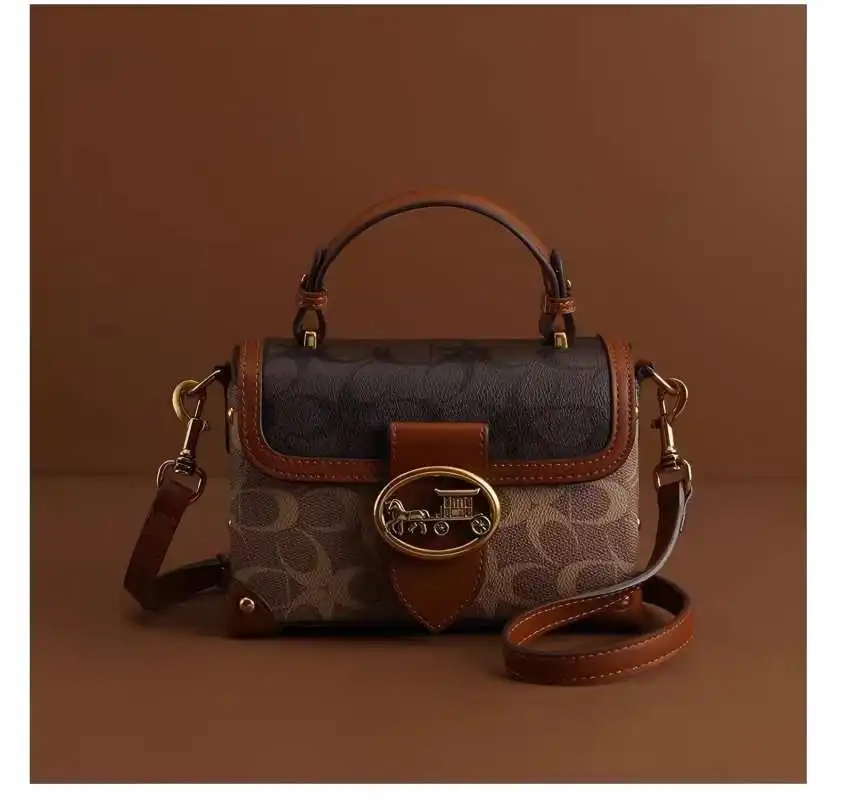 

2025 New Designer Leather Bag for Women – Vintage Mini Square, Luxe High-End Handbag with Horse Carriage Buckle, Elegant Crossbo