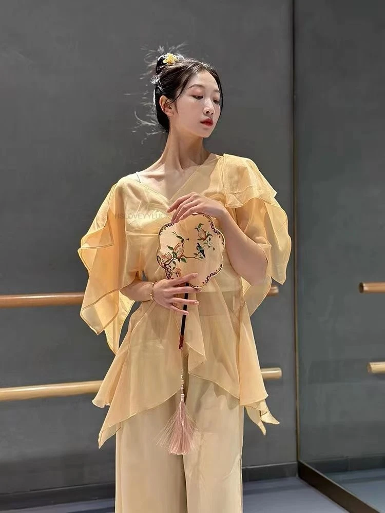 

Traditional Chinese Vintage Dance Costume Stage Performance Mesh Qipao Dress Elegant Oriental Folk Dance Practice Dress