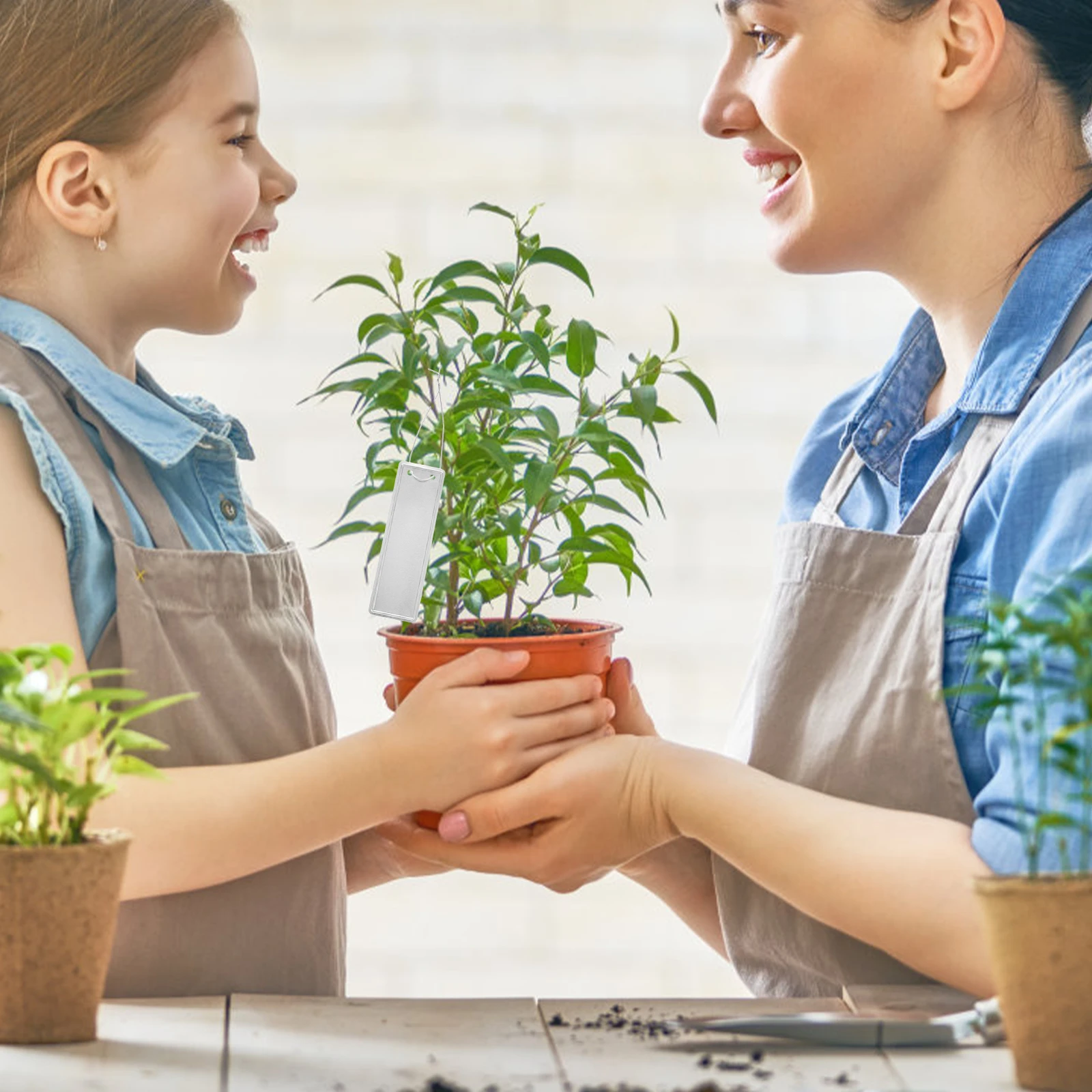 

50Pcs Aluminum Plant Labels Portable Metal Tags Tree Id Markers for Nursery Beds Aluminum Plant Tags Nursery Garden Labels