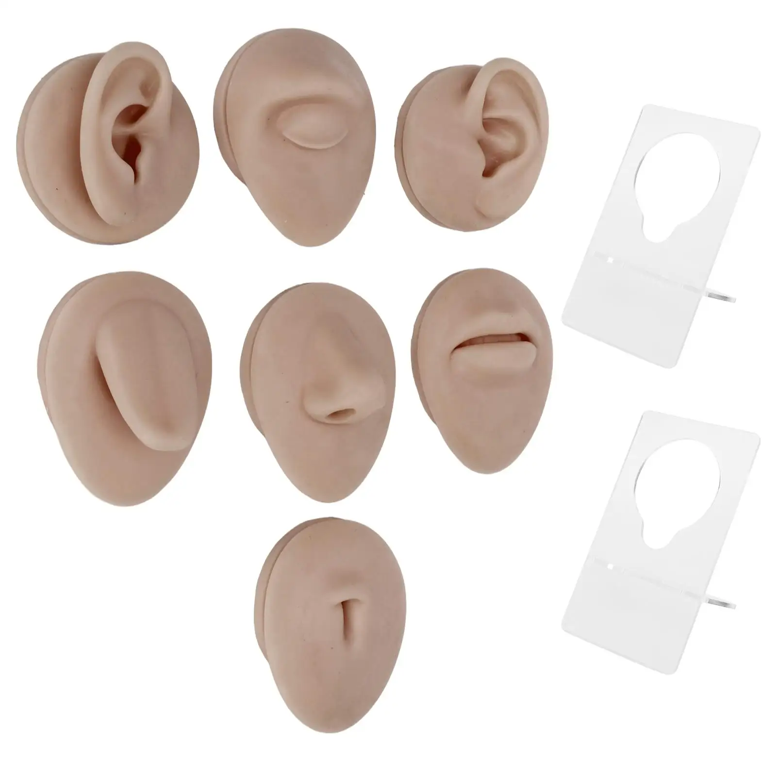 Microblading Silicone Piercing Model for Ear, Mouth, Nose - Soft & Durable