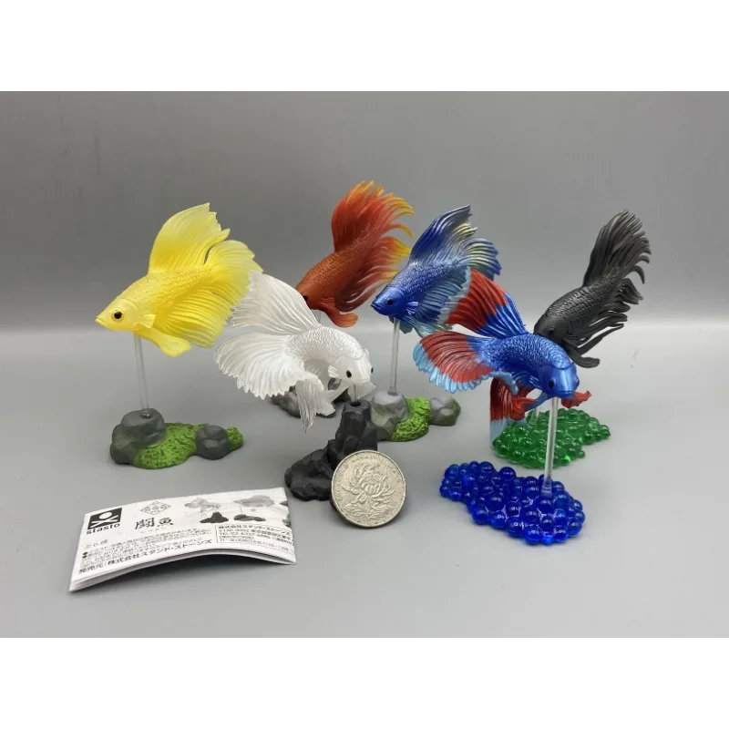 Original STASTO Japan Gashapon Figure Anime Cute Betta Fish Model Bettas Action Figurine Capsule Toys Creative Gift