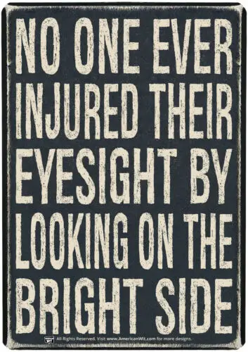 Metal Sign (16 x 12.5) NO ONE Ever Injured Their Eyesight by Looking on the