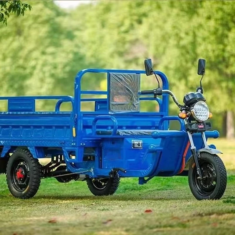 70KM Range Electric Tricycle Dual Batteries Open Body High Payload Capacity Cargo Use Energy-Efficient Performance 1 Passenger