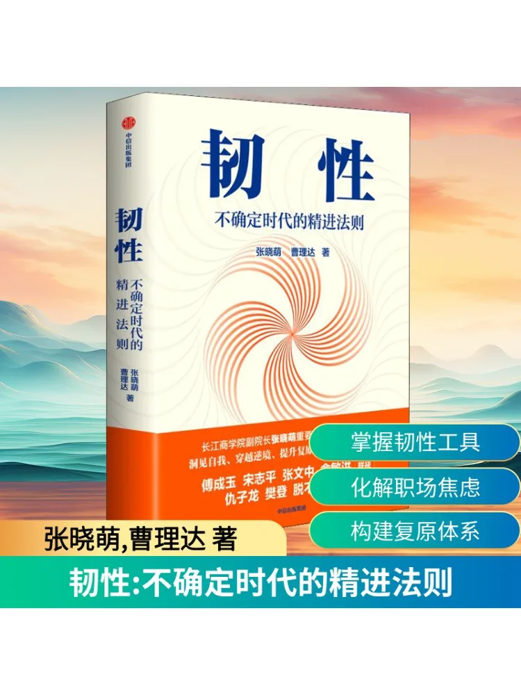 

Книга-Winshare Resilience Принципы улучшения в несвержденных времени