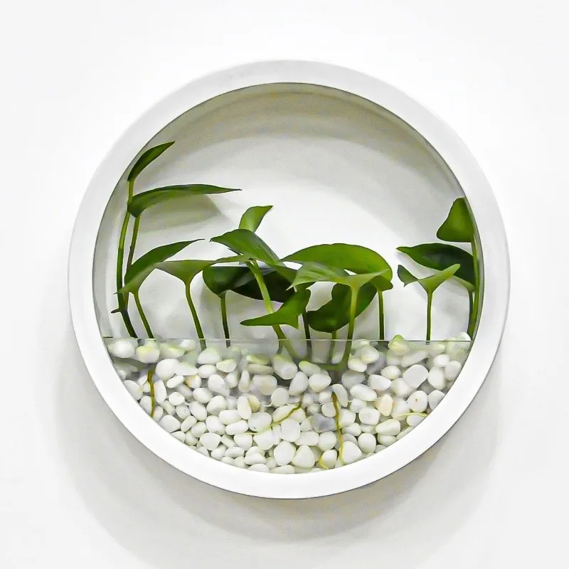 

Luxury Vase Wall Hanging Flower Pot Art Creative Plants Box Elegant Aesthetic Flower Vases with Glass Siding Wall Decoration