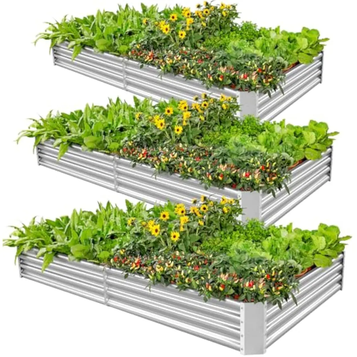 3 Pack Galvanized Steel Raised Garden Beds 8 ft X 4 ft X 1 ft Tall Outdoor Planters for Tomatoes Potatoes Broccoli Herbs Flowers